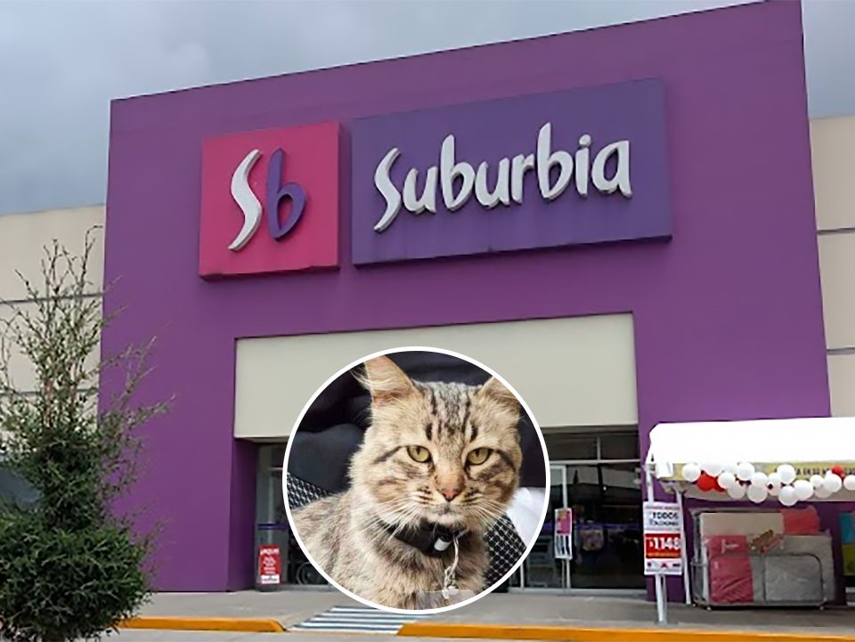 Una tienda Suburbia en Toluca tiene como empleado a un gato